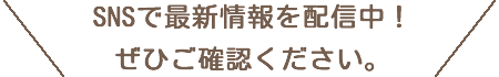 Instagramで最新情報をチェック